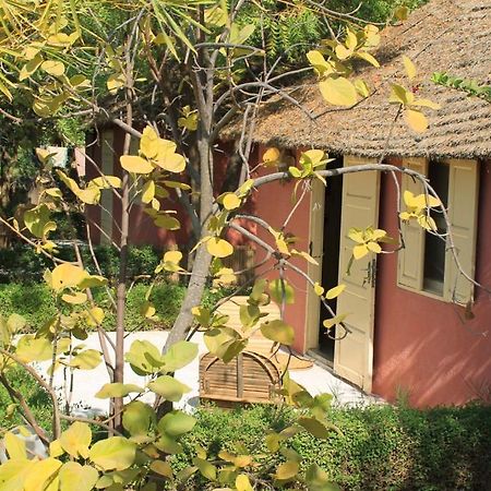 Lampsar Lodge Ndiongo Extérieur photo